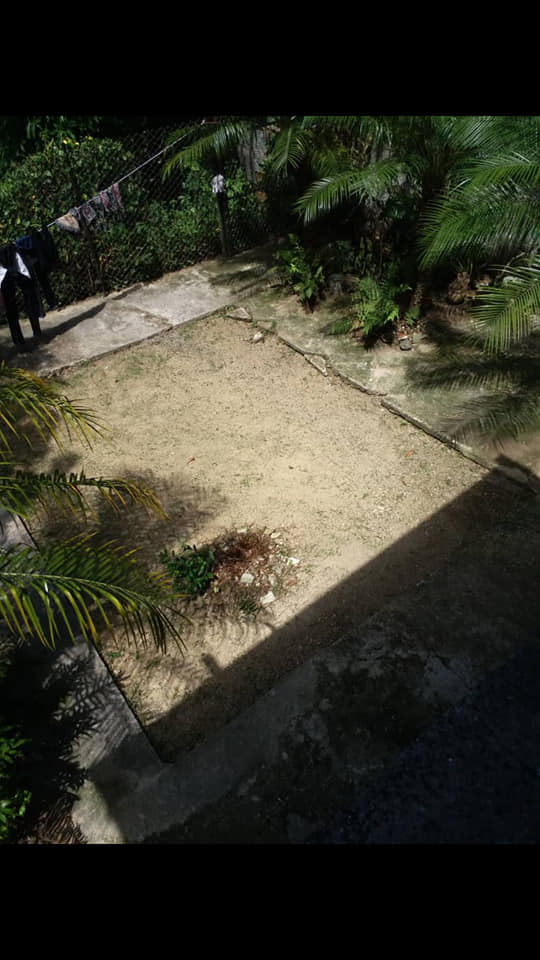 Biplanta en Parraga