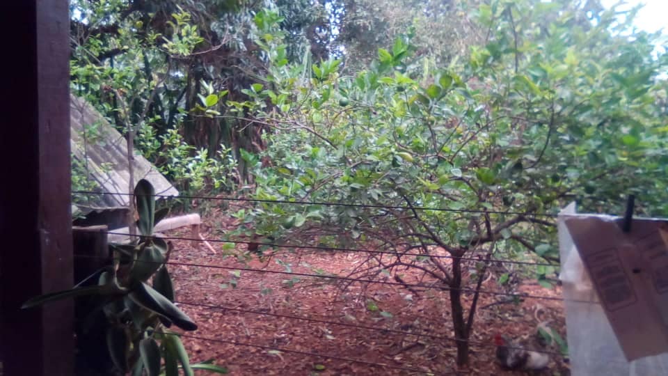 FINCA
