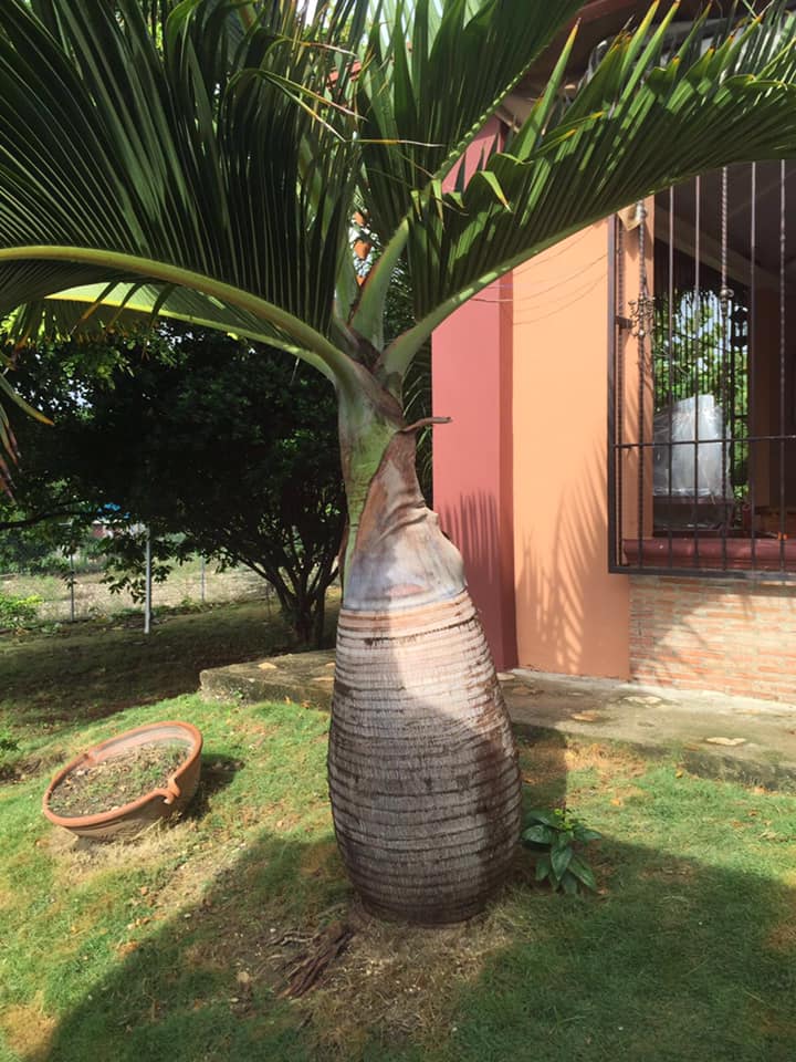 Casa Ezquinera